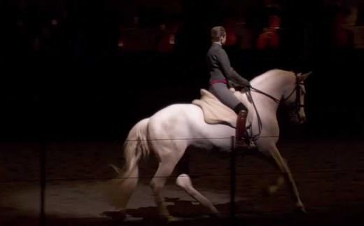 When Equestrian Art Meets Mozart & Bartabas