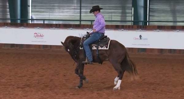 Clinton Anderson hyperflexes a young horse under saddle.