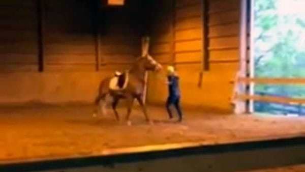 CRA Equestrian Academy Horse Abuse 2