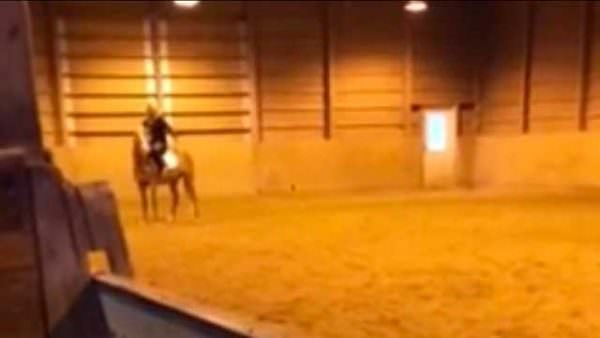 CRA Equestrian Academy Horse Abuse 1