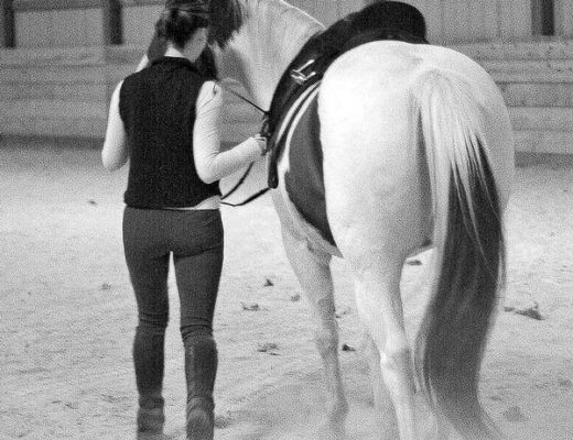 Other Equestrians’ Success Is Not Your Failure
