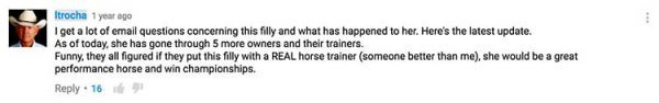I get a lot of email questions concerning this filly and what has happened to her. Here's the latest update. As of today, she has gone through 5 more owners and their trainers. Funny, they all figured if they put this filly with a REAL horse trainer (someone better than me), she would be a great performance horse and win championships.