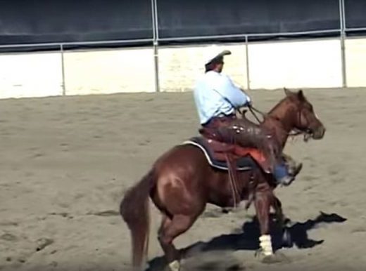 Larry Trocha Teaches Us How to Create Difficult Horses