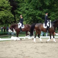 Steffan Peters riding in hyperflexion/rollkur during a competition warm-up.