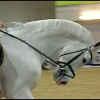 Show Jumpers riding in hyperflexion/rollkur at a competition warm-up.
