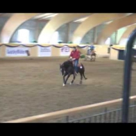 Nico Hörmann abuses his horse at the FEI World Reining Finals warm-up.