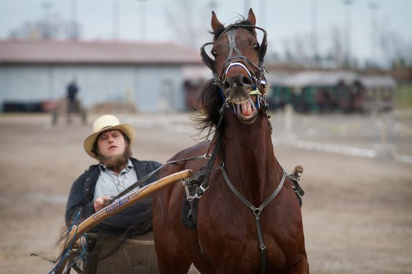 Amish man driving a horse in harness, the horse's eyes show he's frightened and mouth is open against the tight reins.