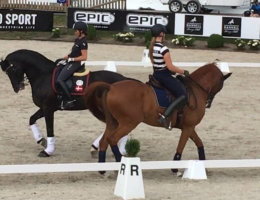 Horse abuse still allowed at Falsterbo Horse Show