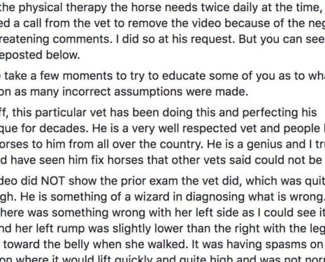 Kellie Jo Robinson Forbes explains strange chiropractic treatment of her horse.