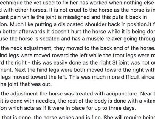 Kellie Jo Robinson Forbes explains strange chiropractic treatment of her horse.