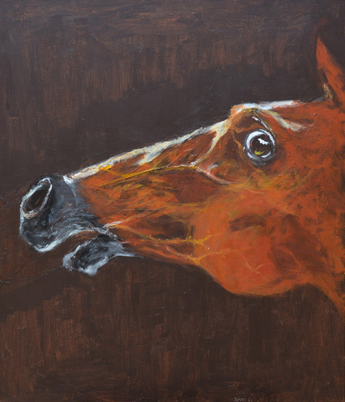 The Frightened Horse by Nykos Furcic