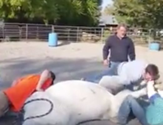 The Video That Shows All That is Wrong with the Horse Community
