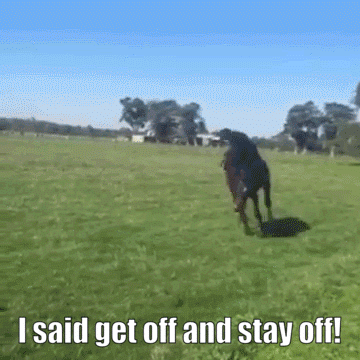 Horse rider falls off, then gets kicked by the horse when trying to chase after them.