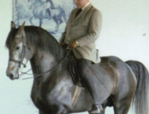 The Difference Between Classical and Competitive Dressage