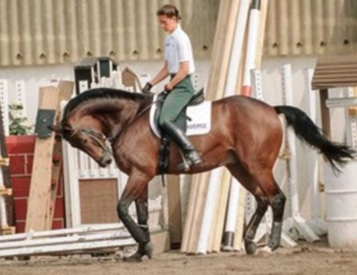 Nicole Uphoff riding her horse Rembrandt in hyperflexion, which would eventually become known as Rollkur.