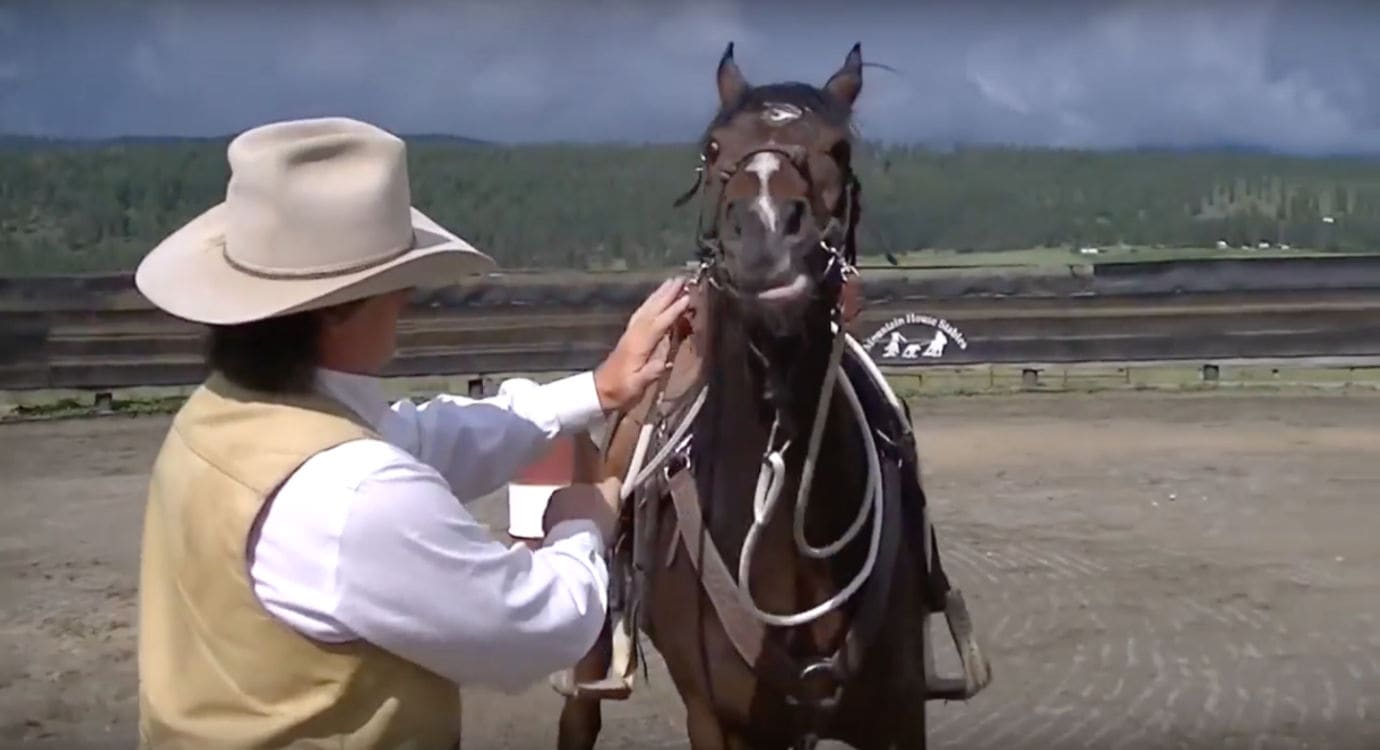 Gerry Cox shows equestrians how to perform the "rein snatch", aka yanking on your horse's mouth.