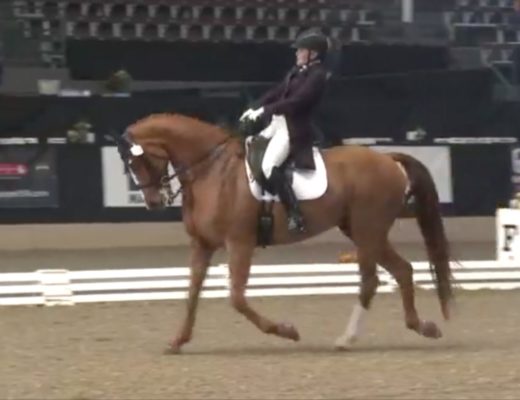 Shelley Browning Demonstrates Blatant Abuse in a Dressage Test