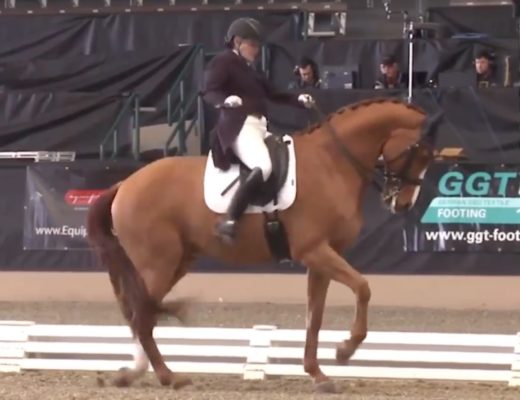 If Dressage Could Save Itself