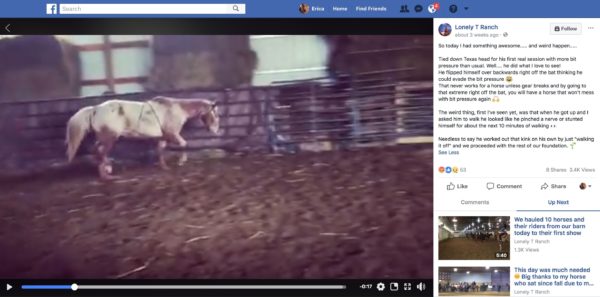 Lonely T Ranch Megan Preisler bragging about abusing a horse.